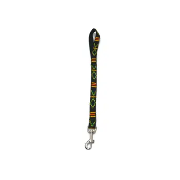 A-468 Pejcz dla psa, taśma Indi 20mm/50cm : Kolor - Zielony