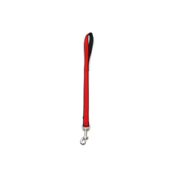 A-481 Pejcz dla psa, taśma podwójna 20mm/50cm : Kolor - Zielony