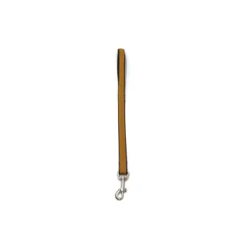 A-481 Pejcz dla psa, taśma podwójna 20mm/50cm : Kolor - Zielony