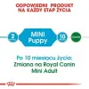 Royal Canin Mini Puppy karma sucha dla szczeniąt, od 2 do 10 miesiąca życia, ras małych 8kg