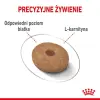 Royal Canin Mini Light Weight Care karma sucha dla psów dorosłych, ras małych z tendencją do nadwagi 8kg