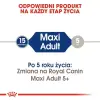 Royal Canin Maxi Adult karma sucha dla psów dorosłych, do 5 roku życia, ras dużych 18kg (15+3kg)