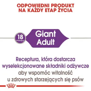 Royal Canin Giant Adult karma sucha dla psów dorosłych, od 18/24 miesiąca życia, ras olbrzymich 15kg