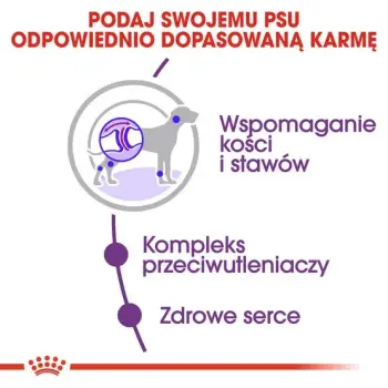 Royal Canin Giant Adult karma sucha dla psów dorosłych, od 18/24 miesiąca życia, ras olbrzymich 15kg