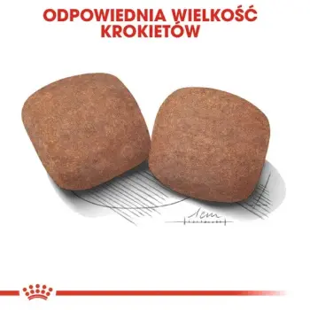 Royal Canin Giant Adult karma sucha dla psów dorosłych, od 18/24 miesiąca życia, ras olbrzymich 15kg