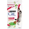 Purina Cat Chow Special Care Urinary Tract Health 1,5kg