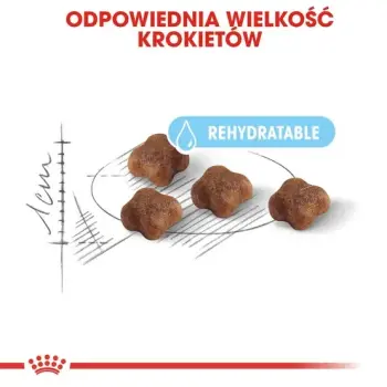 Royal Canin Mother&Babycat karma sucha dla kotek w okresie ciąży, laktacji i kociąt od 1 do 4 miesiąca 400g