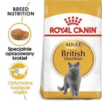 Royal Canin British Shorthair Adult karma sucha dla kotów dorosłych rasy brytyjski krótkowłosy 2kg