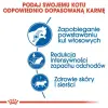 Royal Canin Indoor Long Hair karma sucha dla kotów dorosłych, długowłose, przebywających wyłącznie w domu 400g