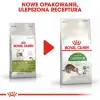 Royal Canin Outdoor karma sucha dla kotów dorosłych, wychodzących na zewnątrz 4kg