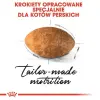 Royal Canin Persian Adult karma sucha dla kotów dorosłych rasy perskiej 2kg