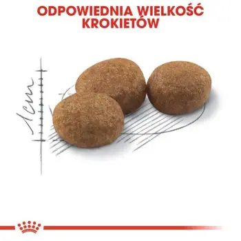 Royal Canin Sterilised karma sucha dla kotów dorosłych, sterylizowanych 400g