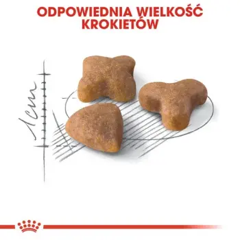 Royal Canin Sensible karma sucha dla kotów dorosłych, o wrażliwym przewodzie pokarmowym 400g