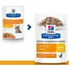 Hill's Prescription Diet c/d Feline z Kurczakiem saszetka 85g