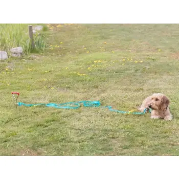 Trixie Wkręt do przywiązywania psa 40cm/9mm [TX-2259]