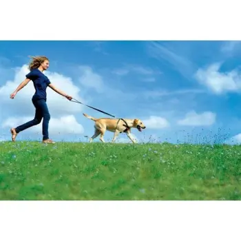 Zolux Szelki bezpieczeństwa dla psów rozmiar L [403330]