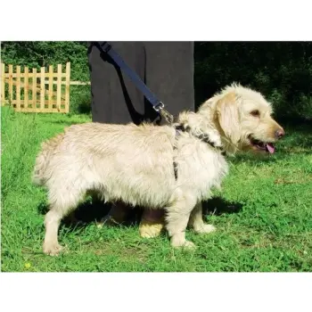 Zolux Szelki bezpieczeństwa dla psów rozmiar S [403320]