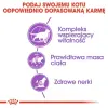 Royal Canin Sterilised 7+ karma sucha dla kotów dorosłych, od 7 do 12 roku życia, sterylizowanych 400g