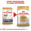 Royal Canin Chihuahua Adult karma sucha dla psów dorosłych rasy chihuahua 0,5kg