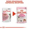 Royal Canin Kitten Instinctive w sosie karma mokra dla kociąt do 12 miesiąca życia saszetka 85g