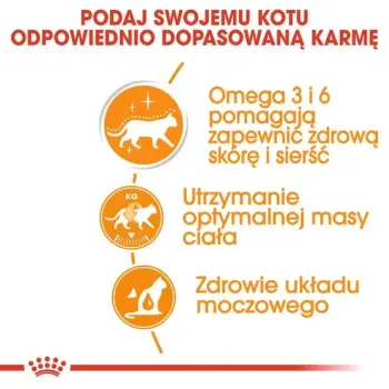 Royal Canin Intense Beauty w sosie karma mokra dla kotów dorosłych, zdrowa skóra, piękna sierść saszetka 85g