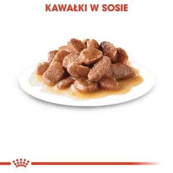 Royal Canin Digest Sensitive karma mokra w sosie dla kotów dorosłych, wrażliwy przewód pokarmowy saszetka 85g