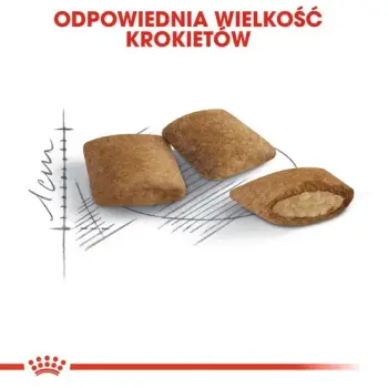 Royal Canin Ageing +12 karma sucha dla kotów dojrzałych 2kg