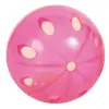 Trixie Piłki plastikowe przezroczyste z grzechotką 4,5cm 4szt. [TX-4166]