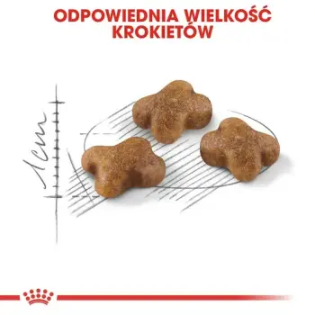 Royal Canin Kitten karma sucha dla kociąt od 4 do 12 miesiąca życia 2kg