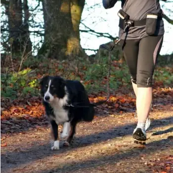 Trixie Pas biodrowy i Smycz Hands Free - zestaw do dogtrekkingu [TX-1275]