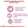 Royal Canin Kitten Sterilised karma sucha dla kociąt od 4 do 12 miesiąca życia, sterylizowanych 2kg