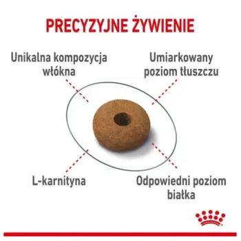 Royal Canin Appetite Control Care karma sucha dla kotów dorosłych, domagających się jedzenia 2kg