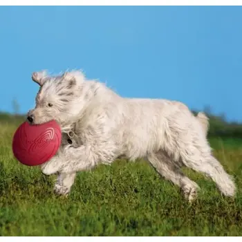 Trixie Frisbee Dysk Dog Disc 24cm [TX-33503]