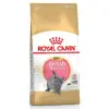 Royal Canin British Shorthair Kitten karma sucha dla kociąt, do 12 miesiąca, rasy brytyjski krótkowłosy 2kg