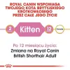 Royal Canin British Shorthair Kitten karma sucha dla kociąt, do 12 miesiąca, rasy brytyjski krótkowłosy 2kg