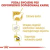 Royal Canin Maltese Adult karma sucha dla psów dorosłych rasy maltańczyk 1,5kg