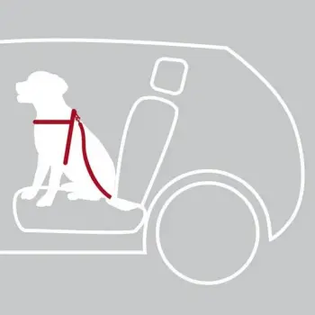 Trixie Szelki samochodowe dla psa S [1290]