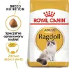 Royal Canin Ragdoll Adult karma sucha dla kotów dorosłych rasy ragdoll 400g