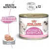 Royal Canin Mother & Babycat Instinctive Mousse karma mokra - mus dla kociąt i kotek karmiących puszka 195g