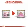 Royal Canin Mother & Babycat Instinctive Mousse karma mokra - mus dla kociąt i kotek karmiących puszka 195g