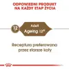 Royal Canin Ageing +12 karma mokra w galaretce dla kotów dojrzałych saszetka 85g