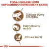 Royal Canin Ageing +12 karma mokra w galaretce dla kotów dojrzałych saszetka 85g