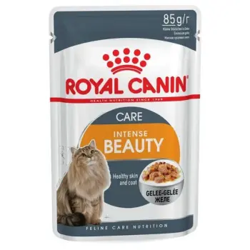 Royal Canin Intense Beauty w galaretce karma mokra dla kotów dorosłych, zdrowa skóra, piękna sierść saszetka 85g