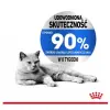 Royal Canin Ultra Light w galaretce karma mokra dla kotów dorosłych, z tendencją do nadwagi saszetka 85g