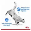 Royal Canin Ultra Light w galaretce karma mokra dla kotów dorosłych, z tendencją do nadwagi saszetka 85g