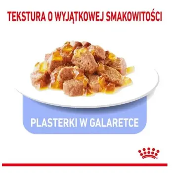 Royal Canin Ultra Light w galaretce karma mokra dla kotów dorosłych, z tendencją do nadwagi saszetka 85g