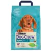 Purina Dog Chow Puppy Jagnięcina 2,5kg