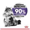 Royal Canin Appetite Control Care karma sucha dla kotów dorosłych, domagających się jedzenia 400g