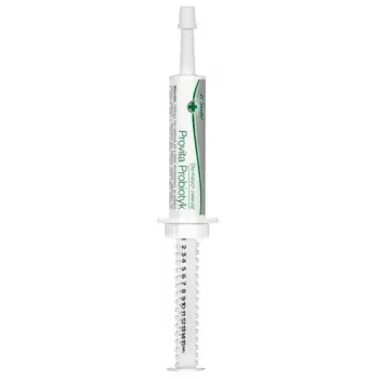 Dr Seidel Provita probiotyk 15 dawek