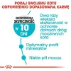 Royal Canin Urinary Care karma sucha dla kotów dorosłych, ochrona dolnych dróg moczowych 2kg